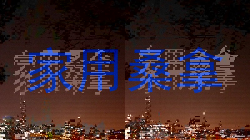 家用桑拿