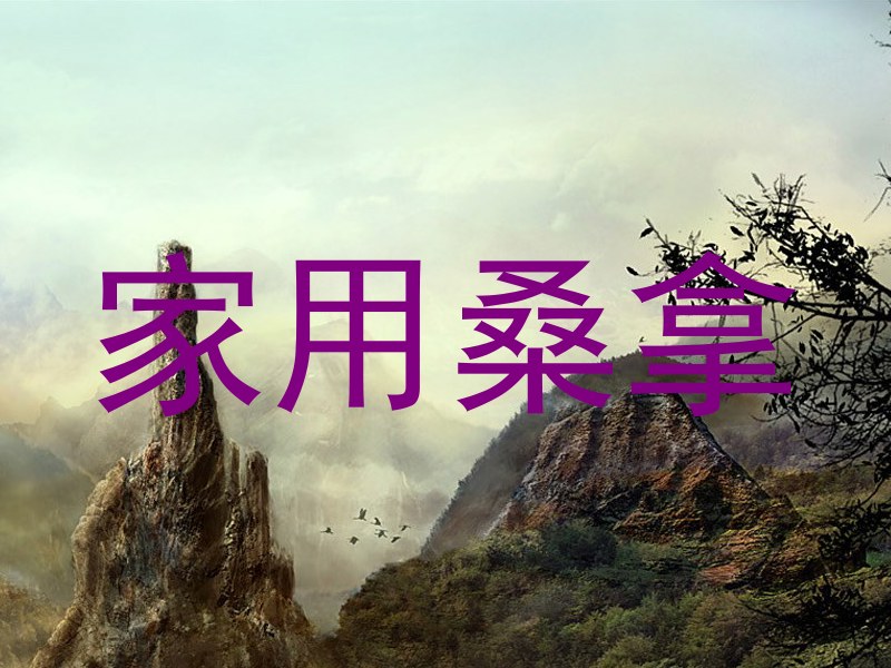 家用桑拿
