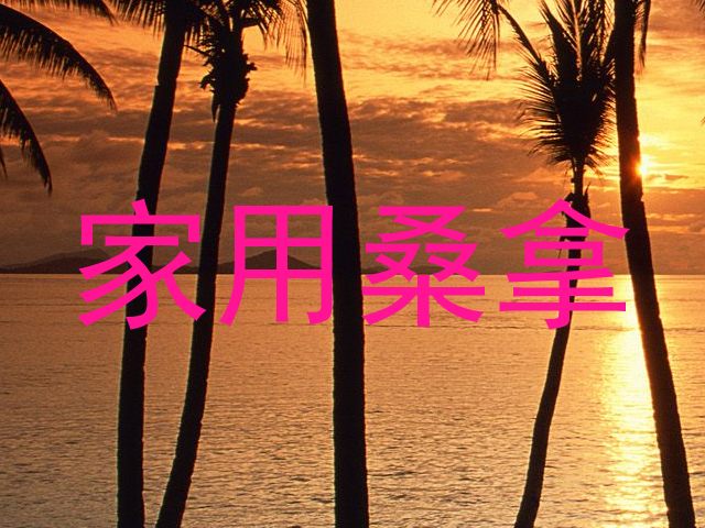 家用桑拿