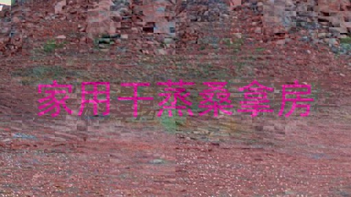 家用干蒸桑拿房