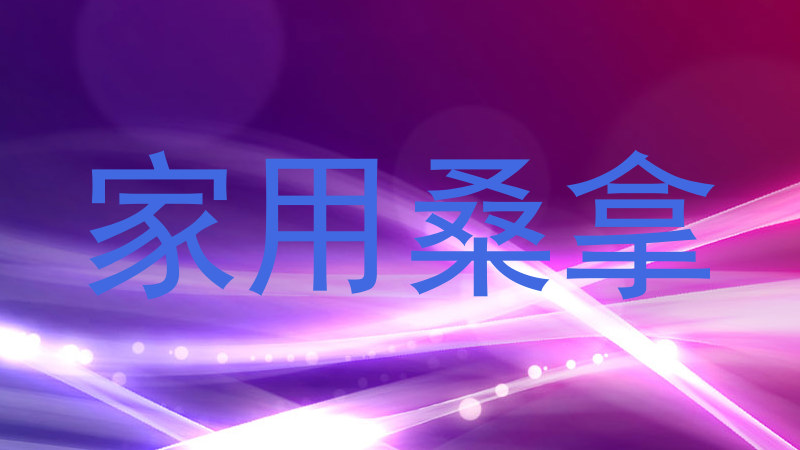 家用桑拿