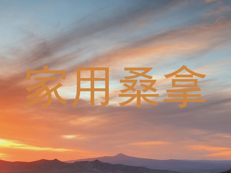 家用桑拿