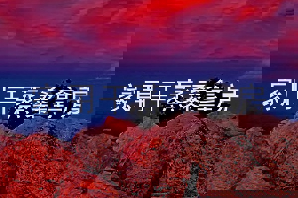 家用干蒸桑拿房