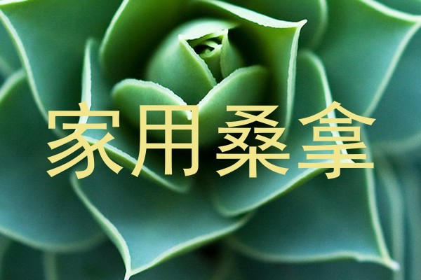 家用桑拿