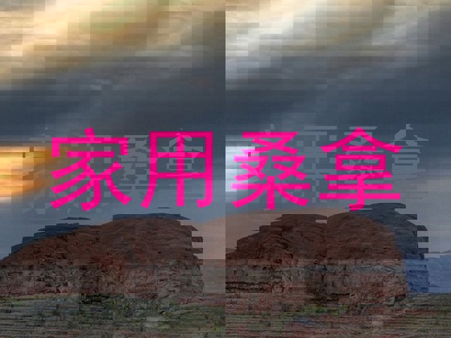 家用桑拿