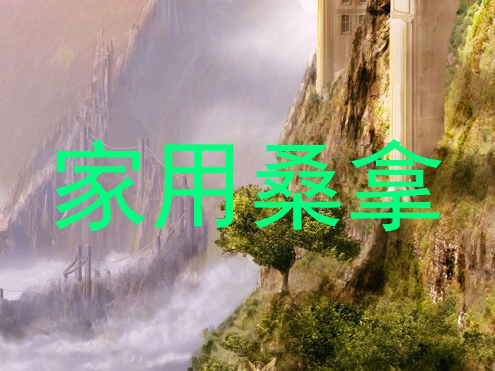 家用桑拿
