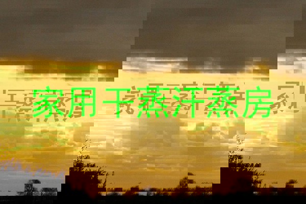 家用干蒸汗蒸房