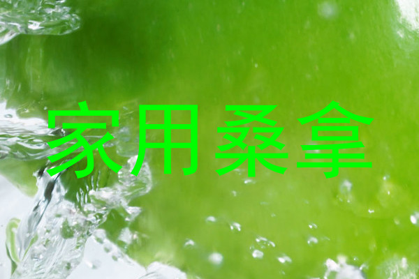 家用桑拿