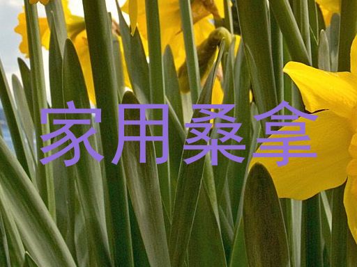 家用桑拿