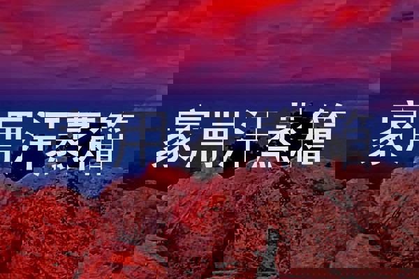 家用汗蒸箱