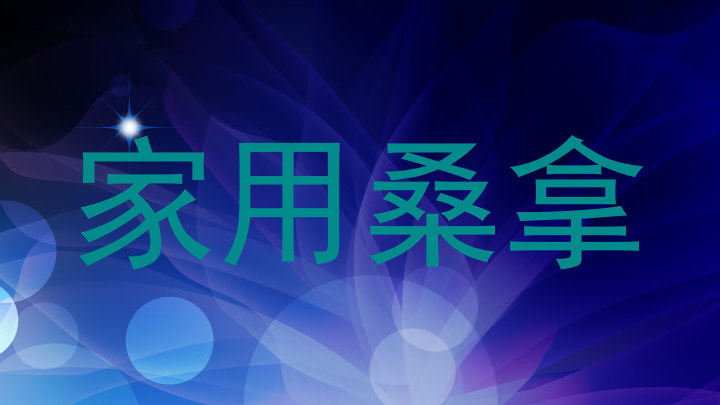 家用桑拿
