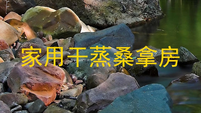 家用干蒸桑拿房