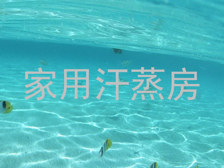 家用汗蒸房
