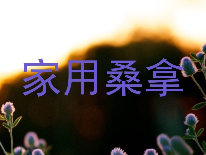 家用桑拿