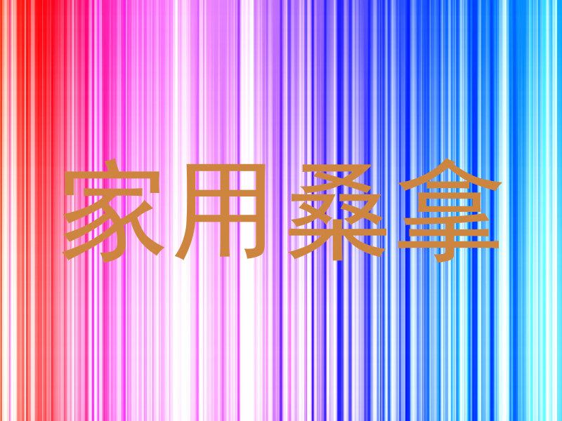 家用桑拿