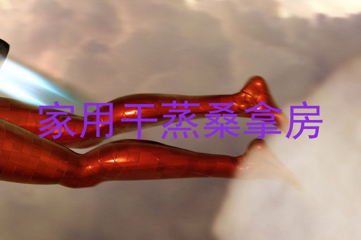 家用干蒸桑拿房