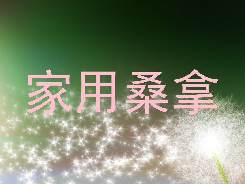 家用桑拿
