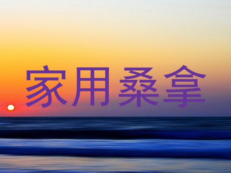家用桑拿