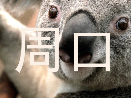周口