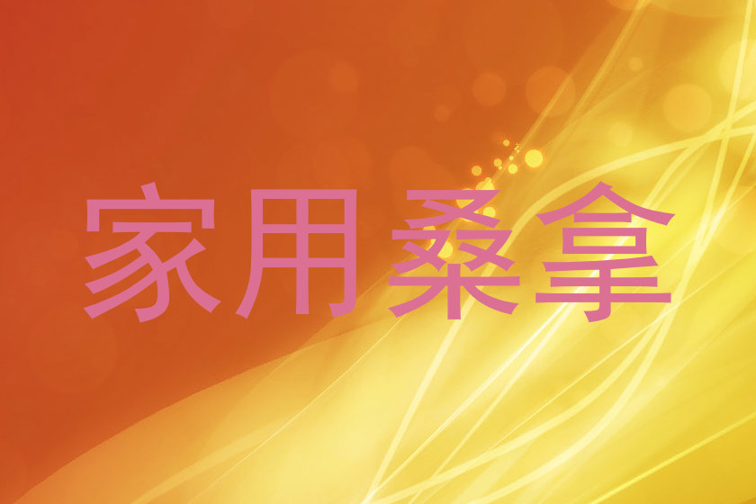 家用桑拿