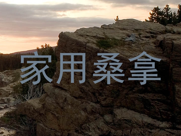 家用桑拿