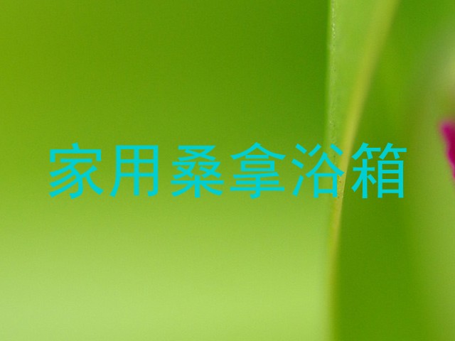 家用桑拿浴箱