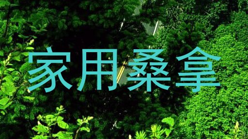 家用桑拿
