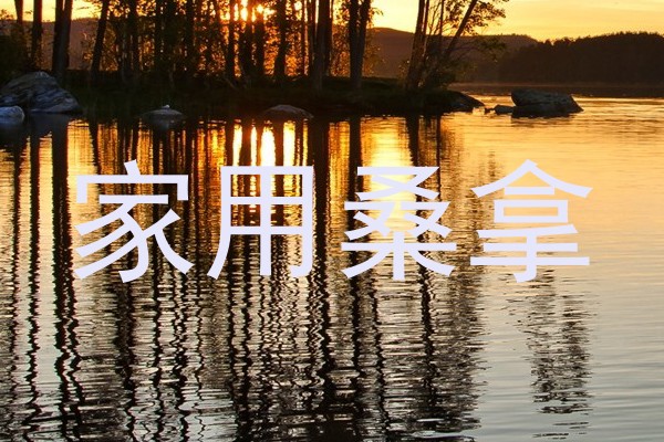 家用桑拿