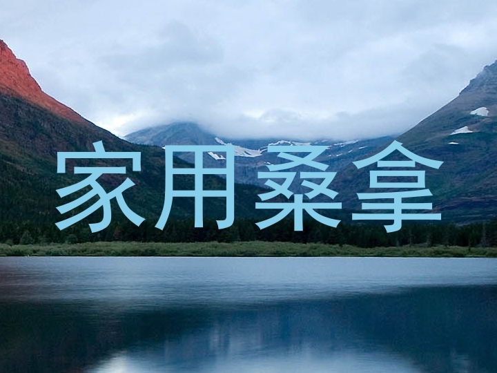 家用桑拿