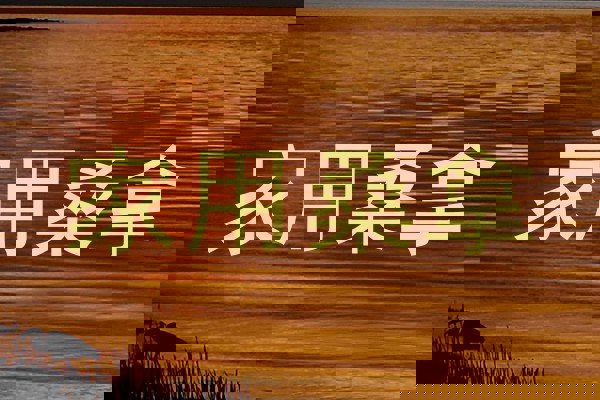 家用桑拿