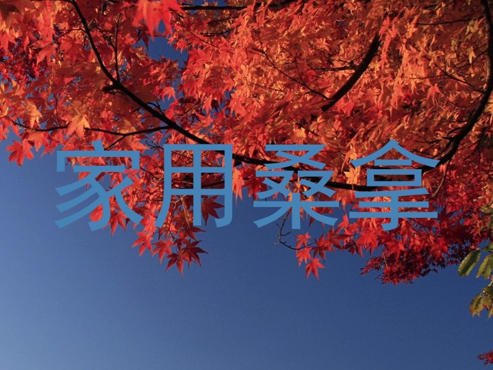 家用桑拿