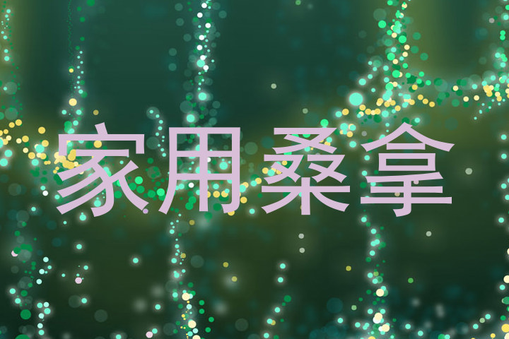 家用桑拿