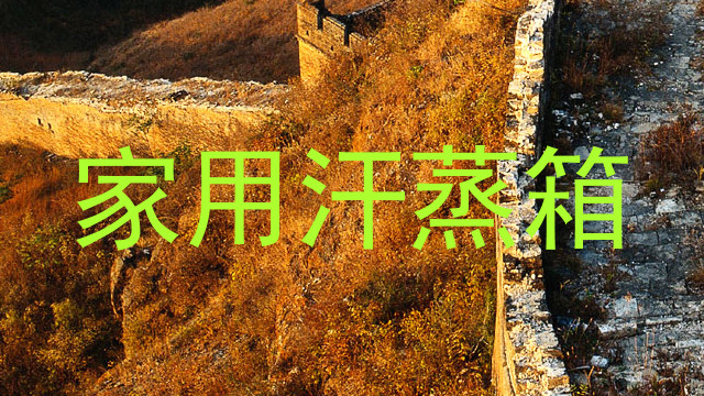 家用汗蒸箱