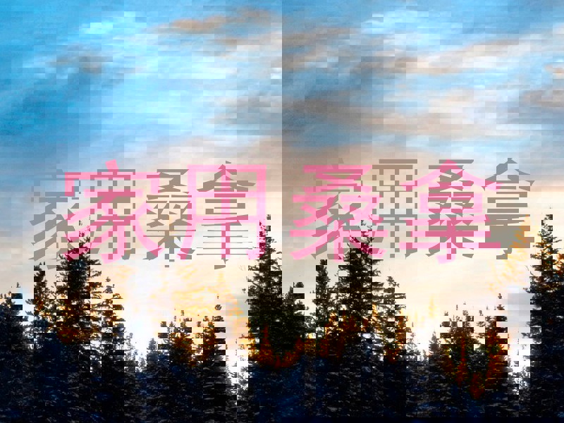 家用桑拿