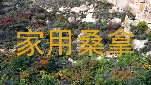 家用桑拿