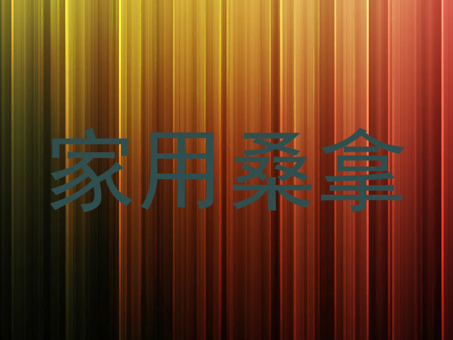 家用桑拿