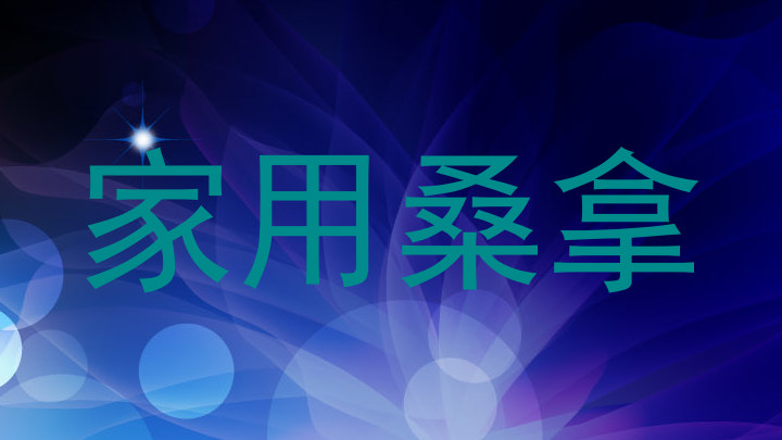家用桑拿