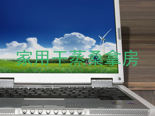 家用干蒸桑拿房