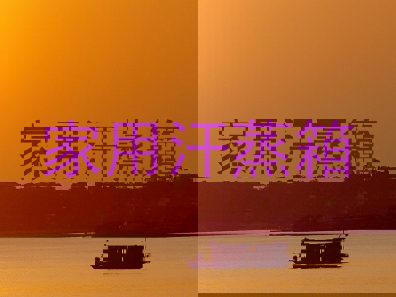 家用汗蒸箱
