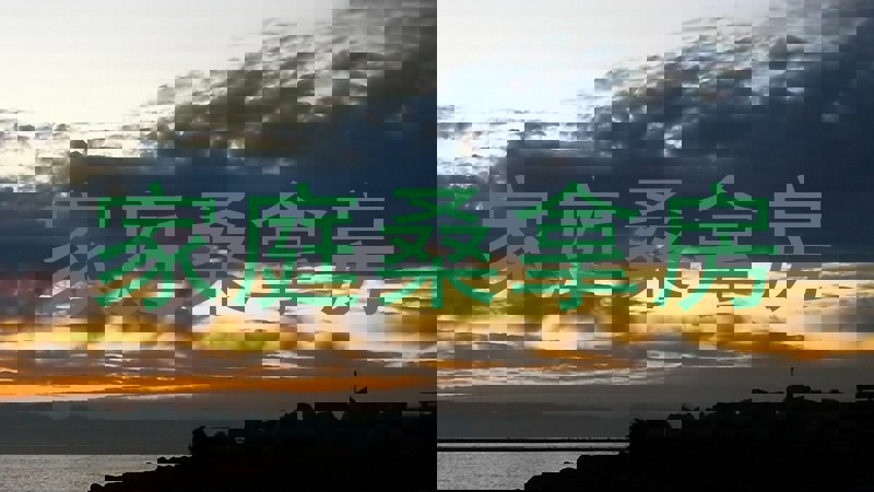 家庭桑拿房