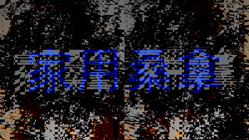 家用桑拿