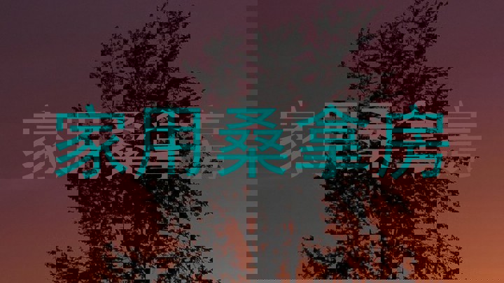 家用桑拿房