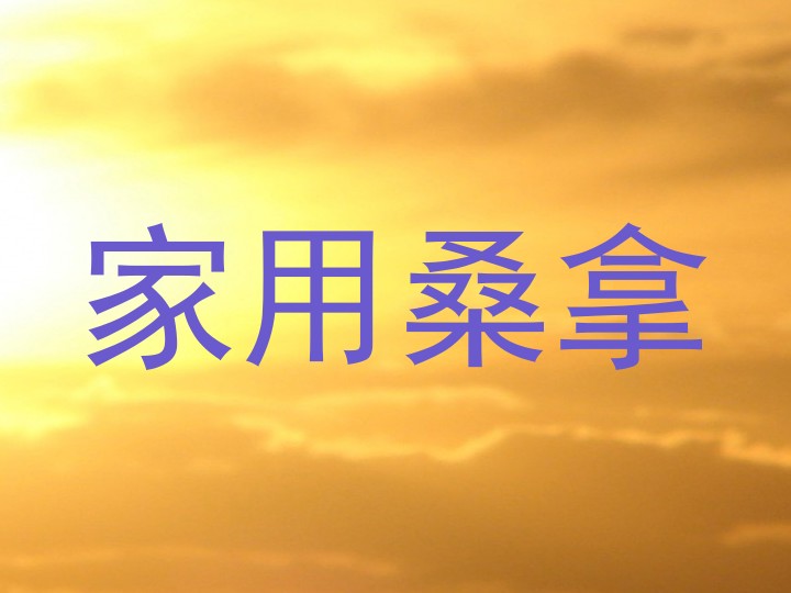 家用桑拿