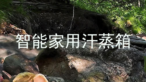 智能家用汗蒸箱