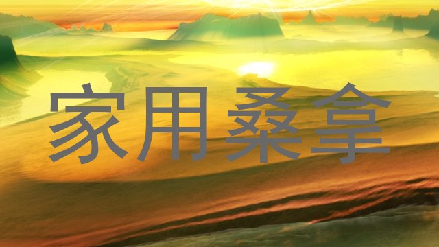 家用桑拿