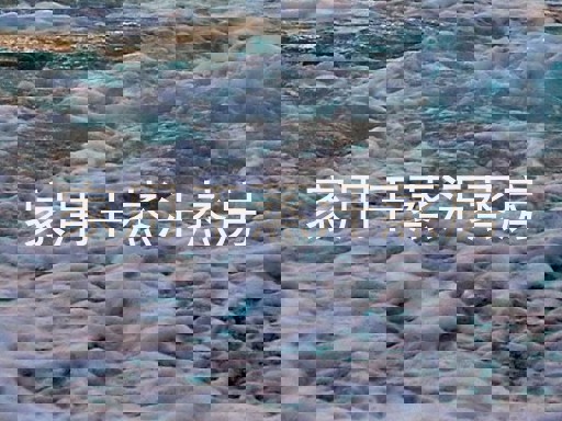 家用干蒸汗蒸房