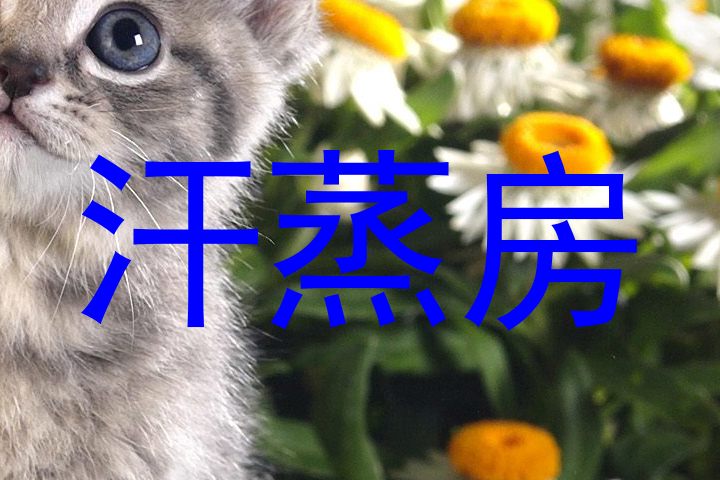 汗蒸房