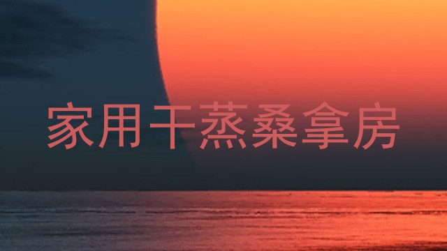 家用干蒸桑拿房