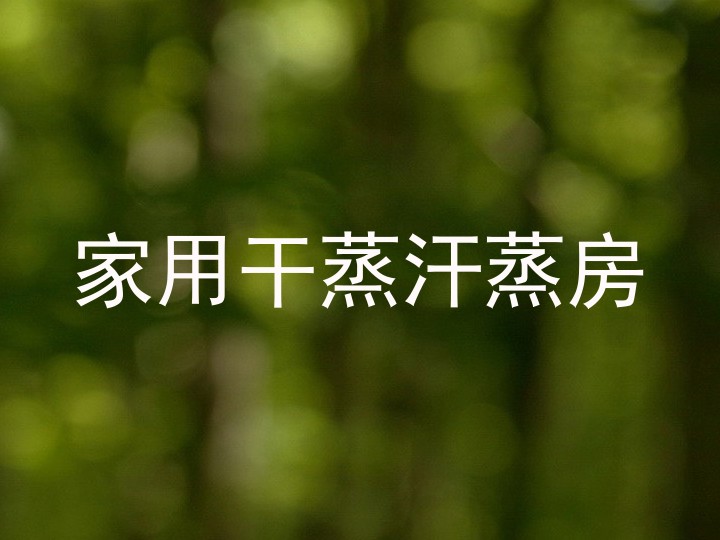 家用干蒸汗蒸房
