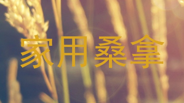 家用桑拿